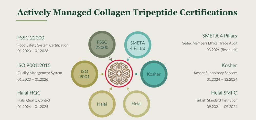 Lifestyle Introductory Offer